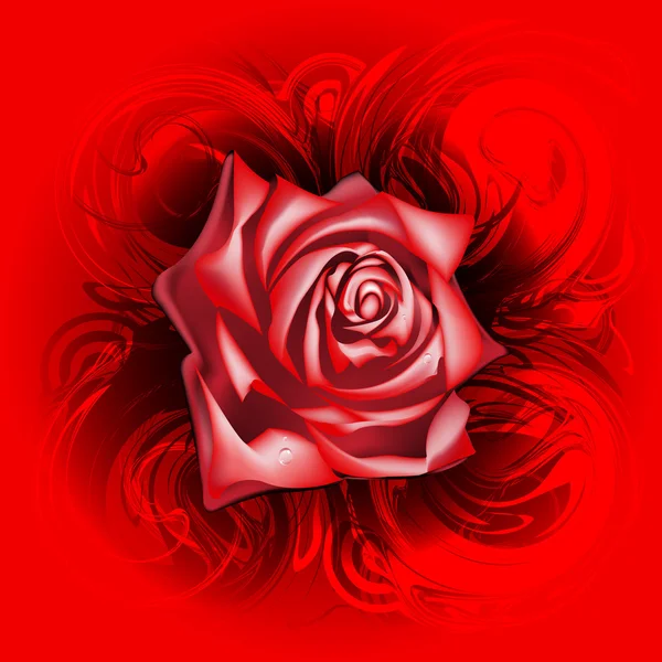红玫瑰，矢量插画 eps10 — 图库矢量图片