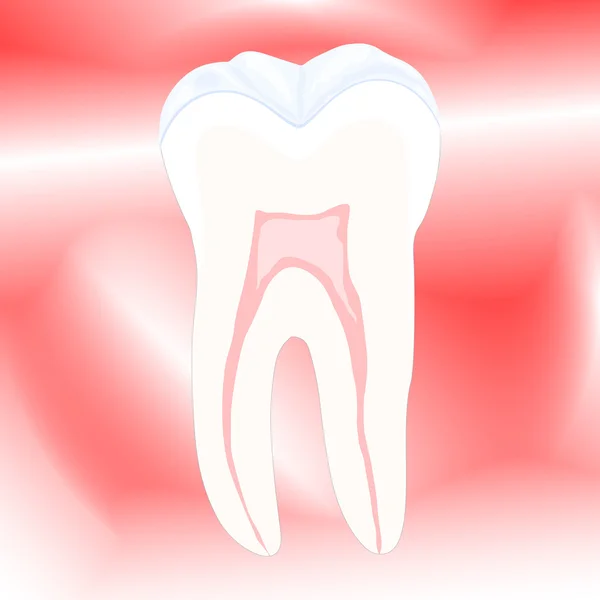 Zubní, vektorové ilustrace, eps10 — Stockový vektor