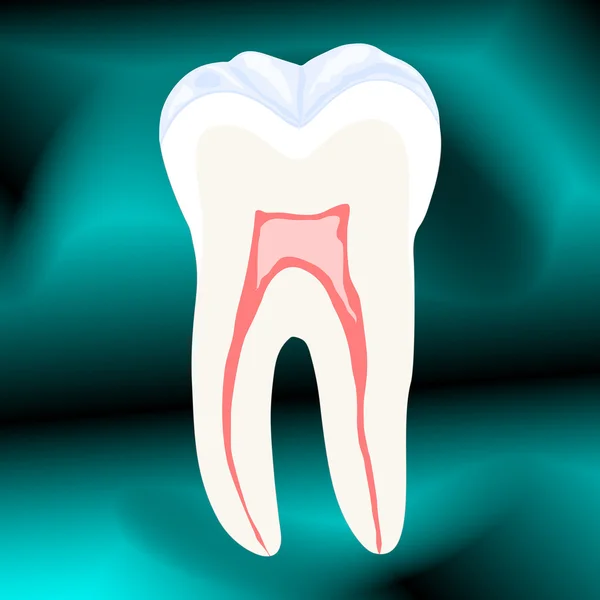 Зуб Поперечном Сечении Абстрактном Фоне Стр — стоковый вектор