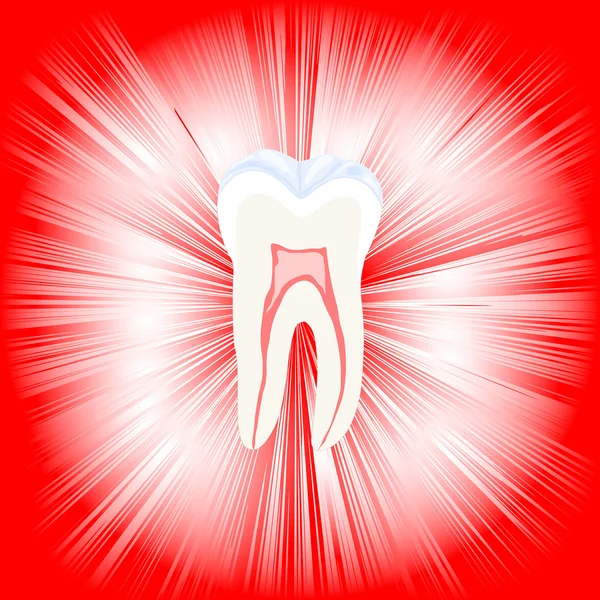 Зуб Поперечному Перерізі Абстрактному Тлі Eps10 — стоковий вектор