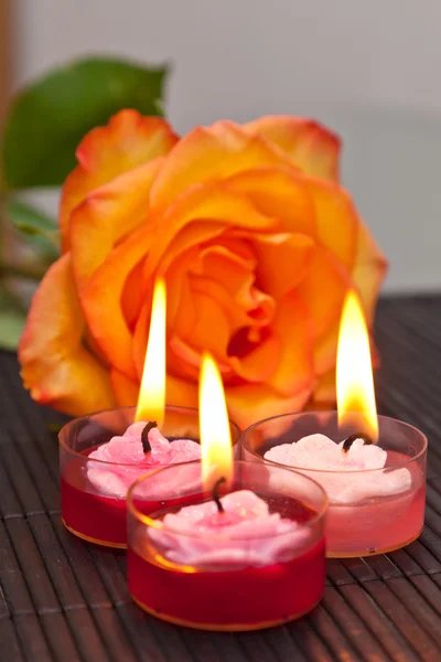Kerzen gegen eine Rose — Stockfoto