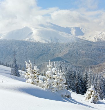 Karlı kış dağ manzarası