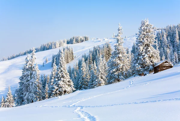 Paisaje de montaña de invierno — Foto de Stock