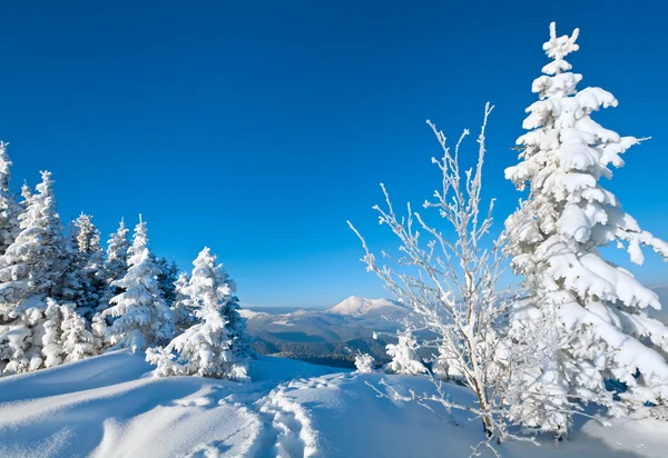 Снежный пейзаж — стоковое фото