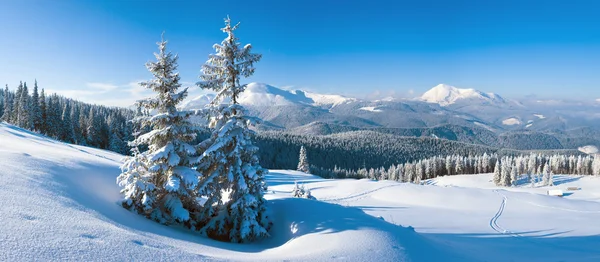 Winterliches Bergpanorama — Stockfoto