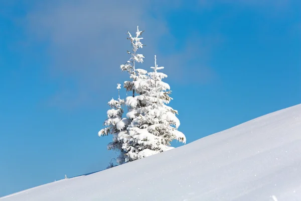 Paisagem nevada — Fotografia de Stock