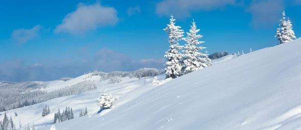 Kış dağ panorama manzara — Stok fotoğraf