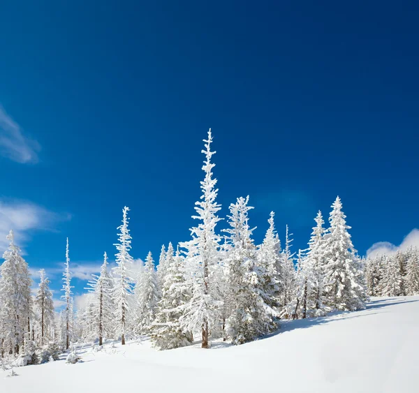 Snöigt landskap — Stockfoto