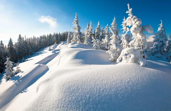 Zimní horská krajina Stock Obrázky