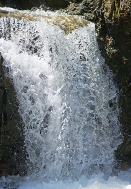 şelale üzerinde dağ orman