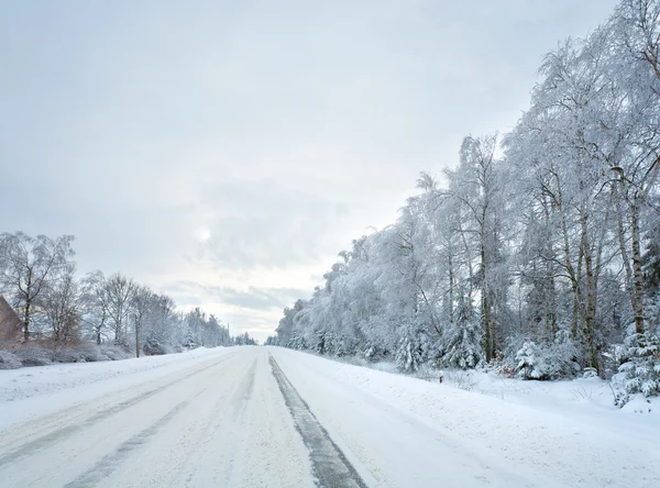 Camino de invierno País —  Fotos de Stock
