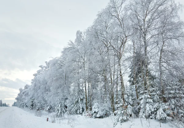 Estrada rural de inverno maçante — Fotografia de Stock