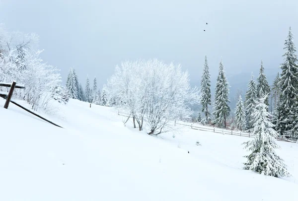 冬の国の山の風景 — ストック写真