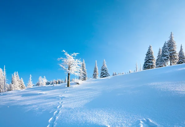 Sněžná krajina — Stock fotografie