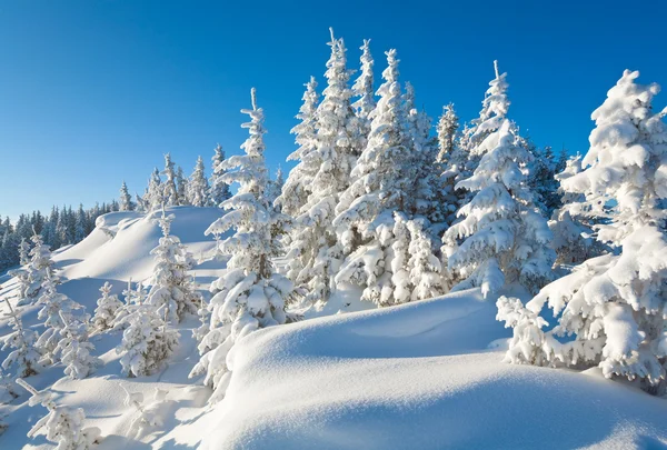 Paysage de montagne d'hiver — Photo