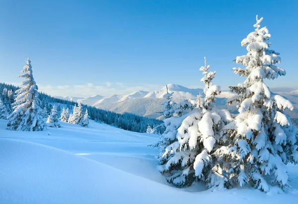 Сніжний пейзаж — стокове фото