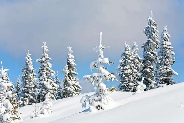 Paisagem nevada — Fotografia de Stock