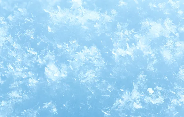 Flocons de neige d'hiver sur la surface de la neige (macro ) — Photo