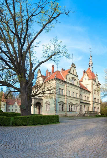 Myśliwski Shenborn (Pałac) — Zdjęcie stockowe