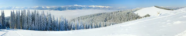 Paesaggio montano invernale (panorama ) — Foto Stock