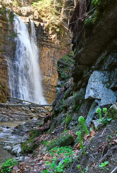 Vattenfall och bäcken i berg skog ravin — Stockfoto