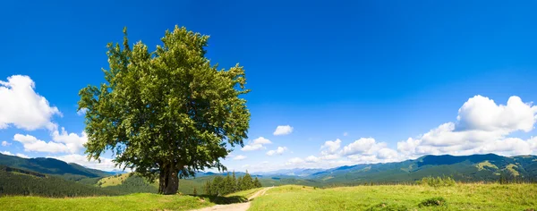 Letní horské panorama. — Stock fotografie