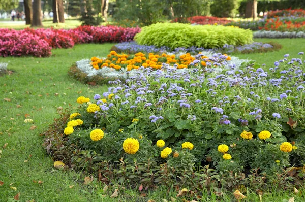 Flower landscaping — Stock Photo, Image