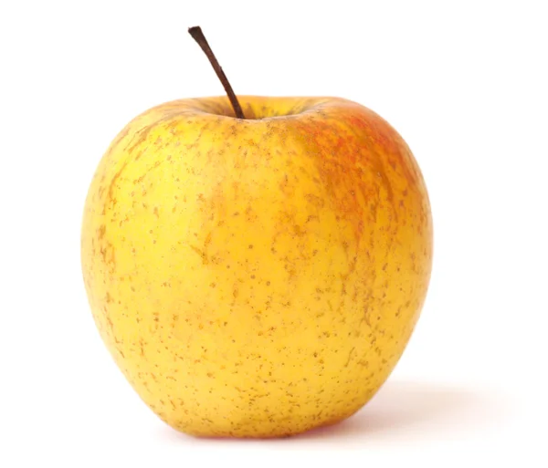 Omena eristetty valkoisella pohjalla — kuvapankkivalokuva