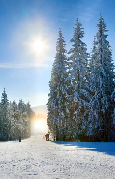 El polvo de nieve deslumbra brillando en la pista de esquí de invierno —  Fotos de Stock