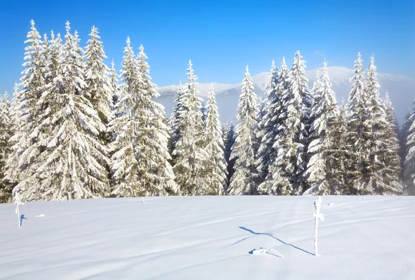 冬の霧深い山の風景 — ストック写真