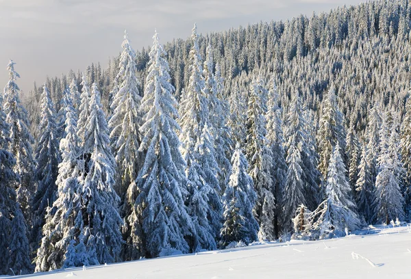 Paesaggio montano invernale — Foto Stock