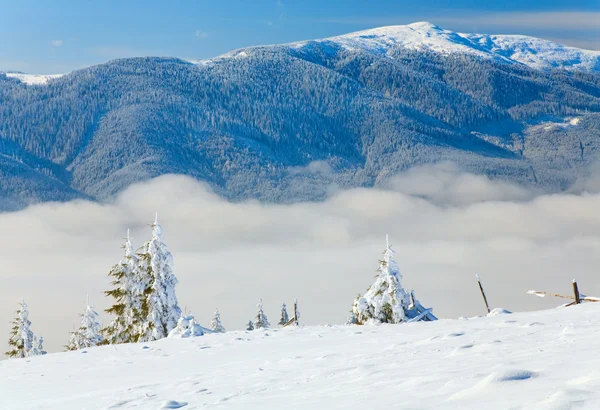 Winterliche Berglandschaft — Stockfoto