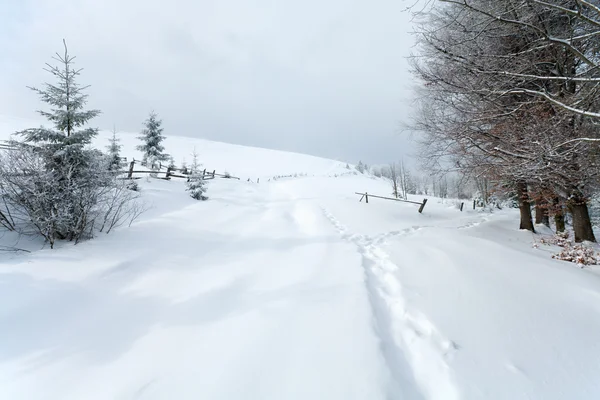Kış ülke dağ manzarası — Stok fotoğraf