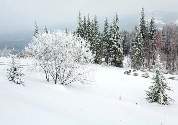 Зимовий гірський пейзаж країни — стокове фото