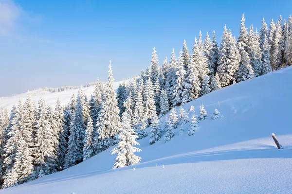 Winter mountain landscape — Stock Photo, Image