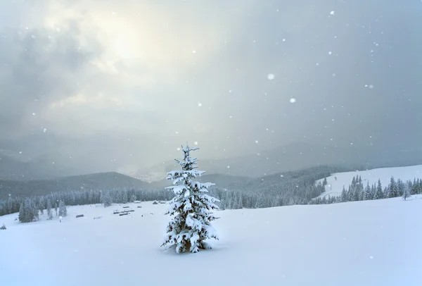 冬季山景 — 图库照片