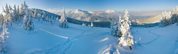 Téli hegyvidéki táj — Stock Fotó