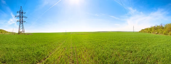 Spring field morning panorama with blue sky and sunshine — Stock Photo, Image