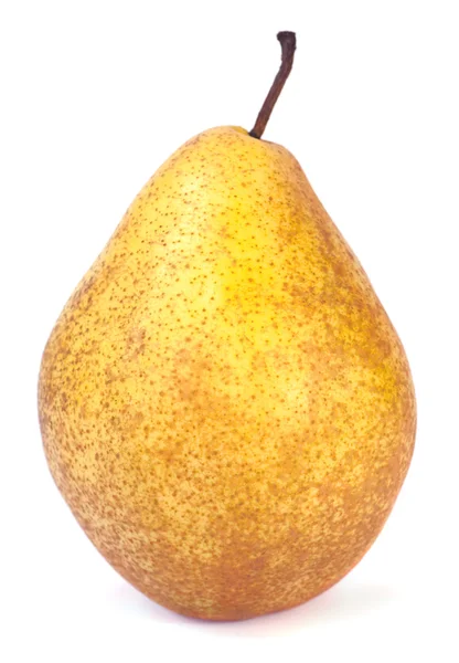 Большая жёлтая груша — стоковое фото