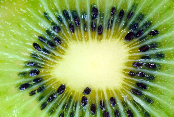 Stock image Green ripe kiwi macro