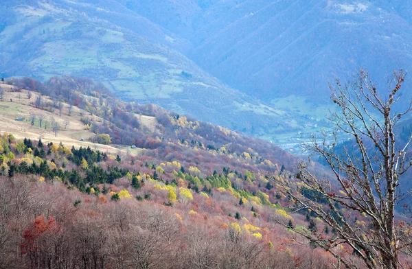 Sonbahar dağ manzarası — Stok fotoğraf