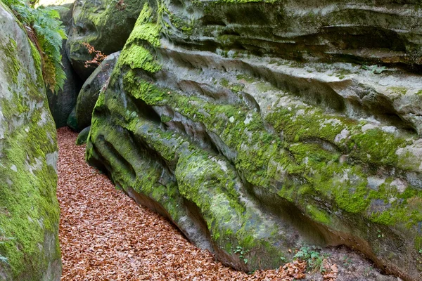 Large stone — Stock Photo, Image
