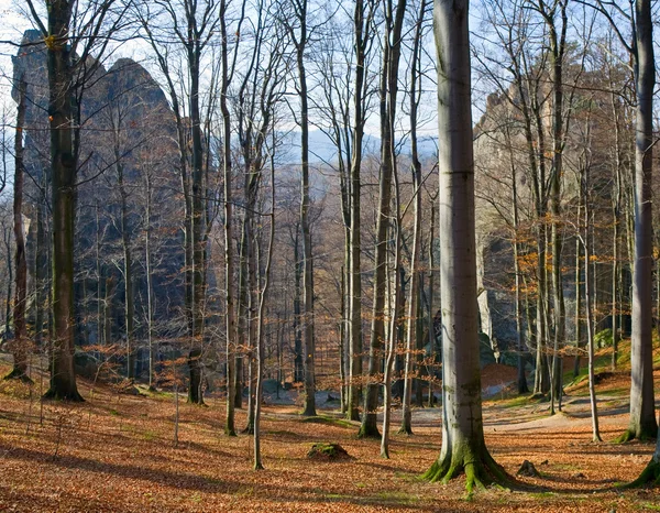 Höga stenar i skogen — Stockfoto