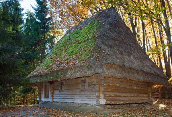 Casa de madeira velha com telhado colmado — Fotografia de Stock