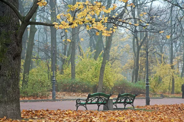 Туманний ранок в осінньому парку — стокове фото