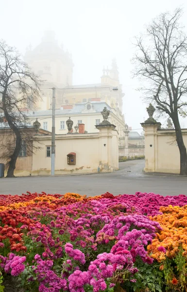 Autumn misty morning and flowers — Stock Photo, Image