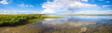 Summer lake panorama. clipart