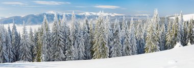 Winter mountain landscape (panorama) clipart