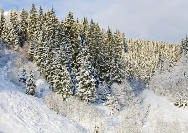 Kış Kayak teleferik — Stok fotoğraf