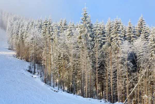 Neblige winterliche Berglandschaft — Stockfoto
